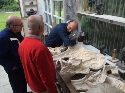 ed25c58d-a8eb-4c59-8817-3cb03c288cd1